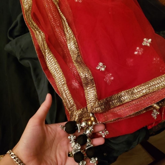 Indian Anarkali Suit - Picture 3 of 4